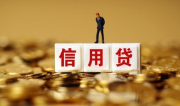 成都快速哪里可以民间借贷-成都快速私人借钱当天拿钱-成都快速贷款联系电话