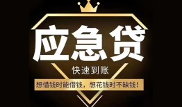 成都快速本地私借-成都快速贷款当天放款-成都快速私人身份证借私借