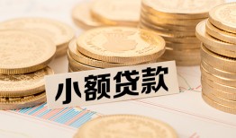 成都快速哪里有小额贷款-成都快速身份证贷款平台-成都快速民间短借