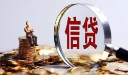 成都快速个人借贷私借-成都快速个人贷款联系电话-成都快速身份证借私借